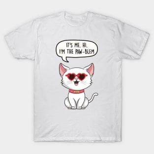 Anti-hero Taylor Swift Cat T-Shirt